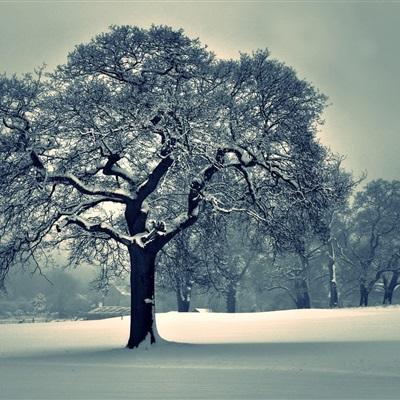 尊龙ag旗舰厅登录截图